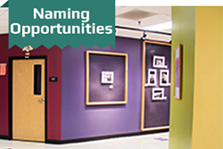 Naming Opportunities button Naming Opportunities