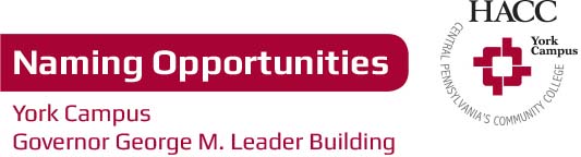 York Campus Leader Building Naming Opportunities