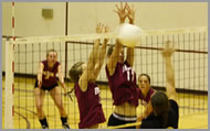HACC Sports