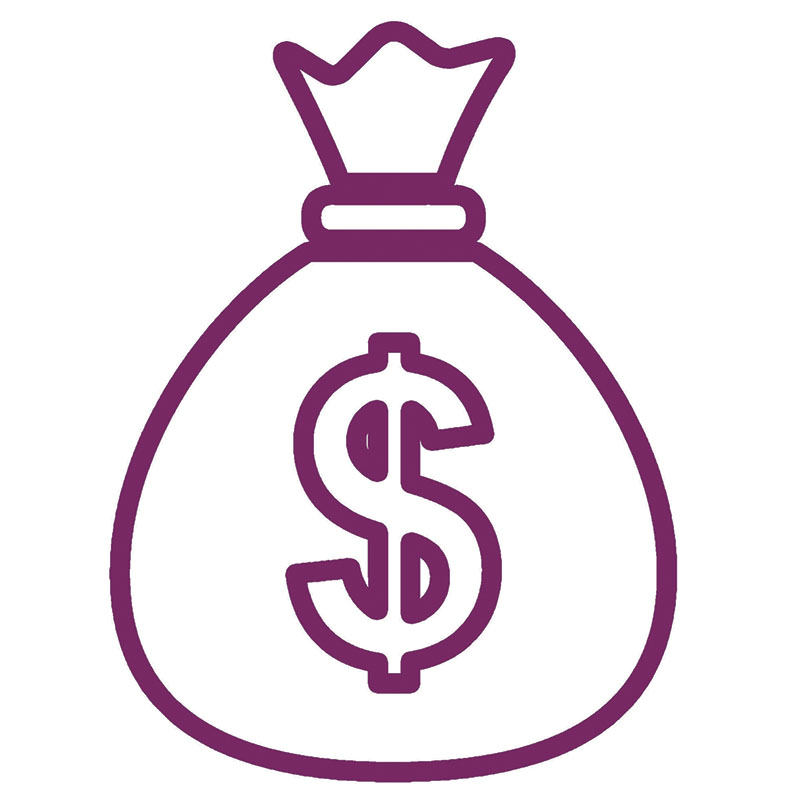 Money Bag purple