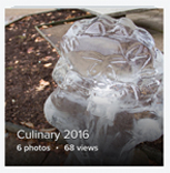 Culinary 2016 Flickr