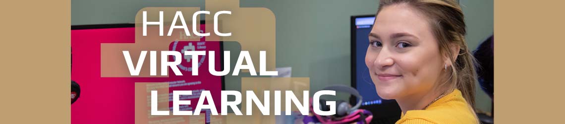 Online Learning Header Image
