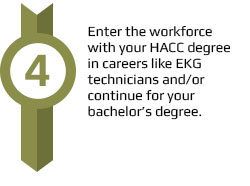 Enter the workforce or transfer for your bachelors.