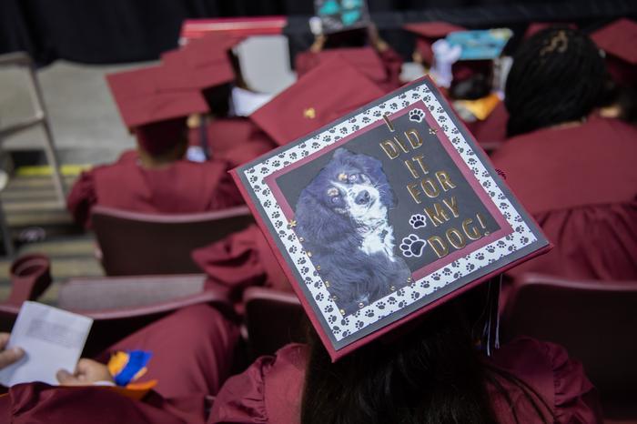 I Did It for My Dog I Did It for My Dog graduation cap