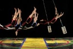 Streb - Extreme Action Dance Company